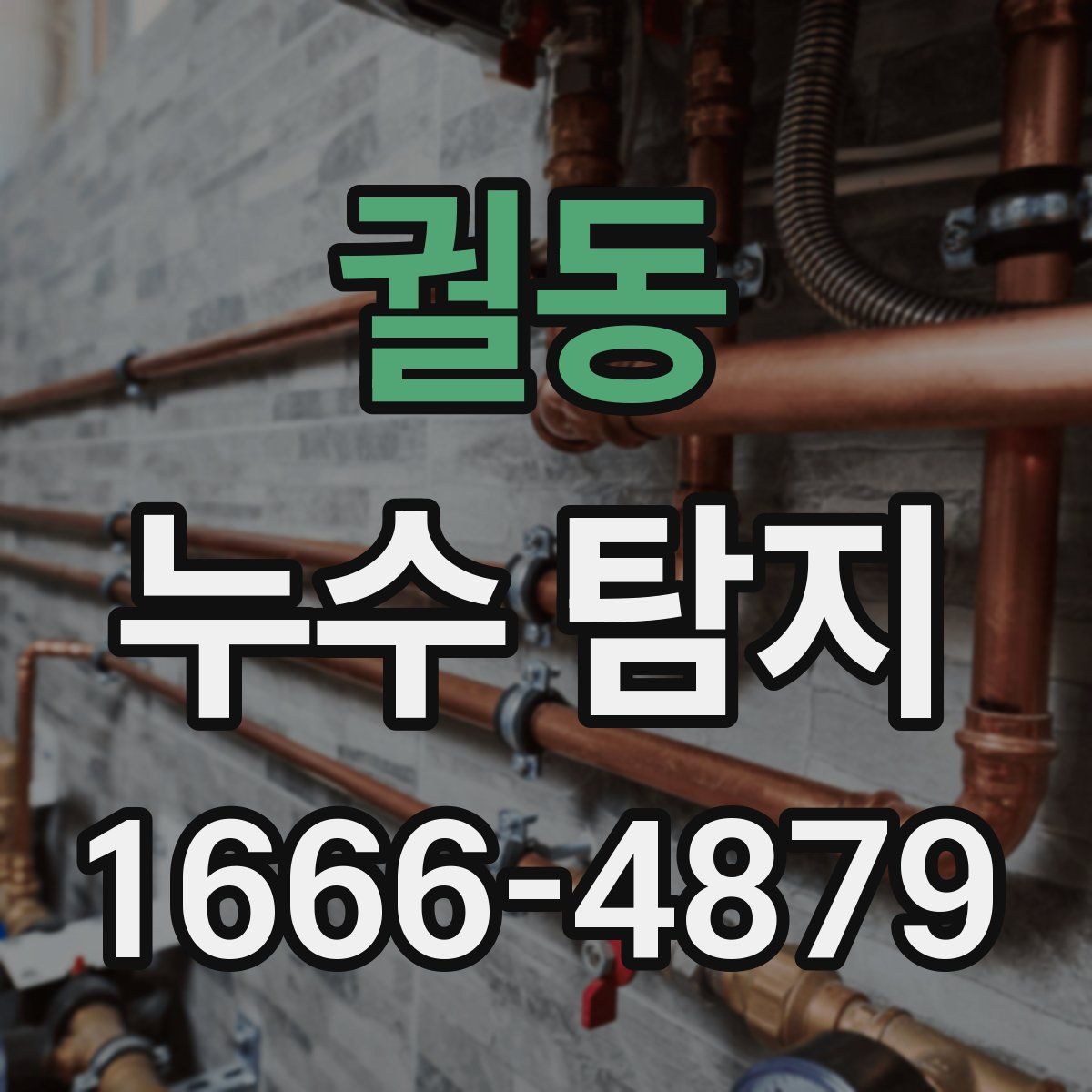 궐동 누수 탐지