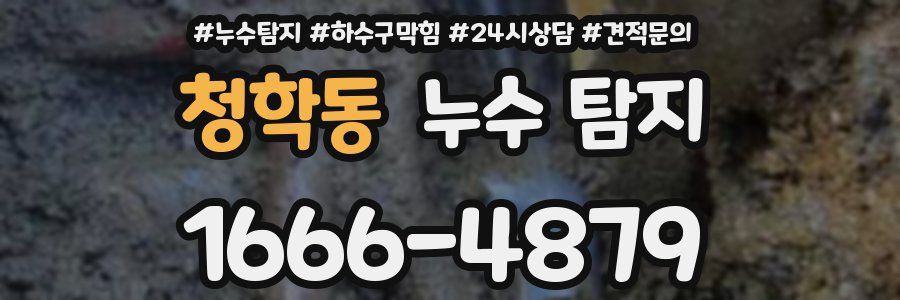 청학동 누수 탐지