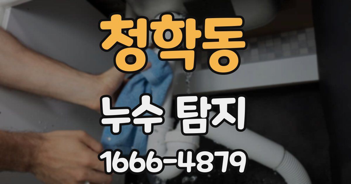 청학동 누수 탐지