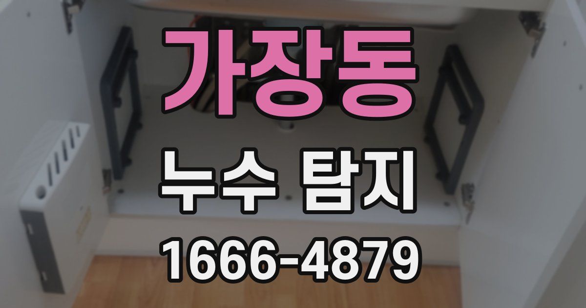 가장동 누수 탐지
