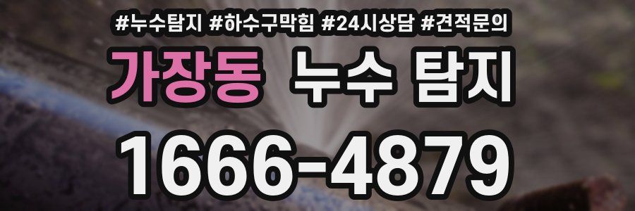 가장동 누수 탐지