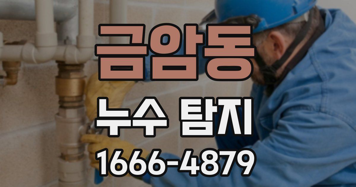 금암동 누수 탐지