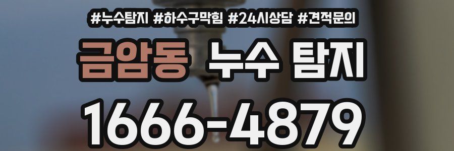 금암동 누수 탐지