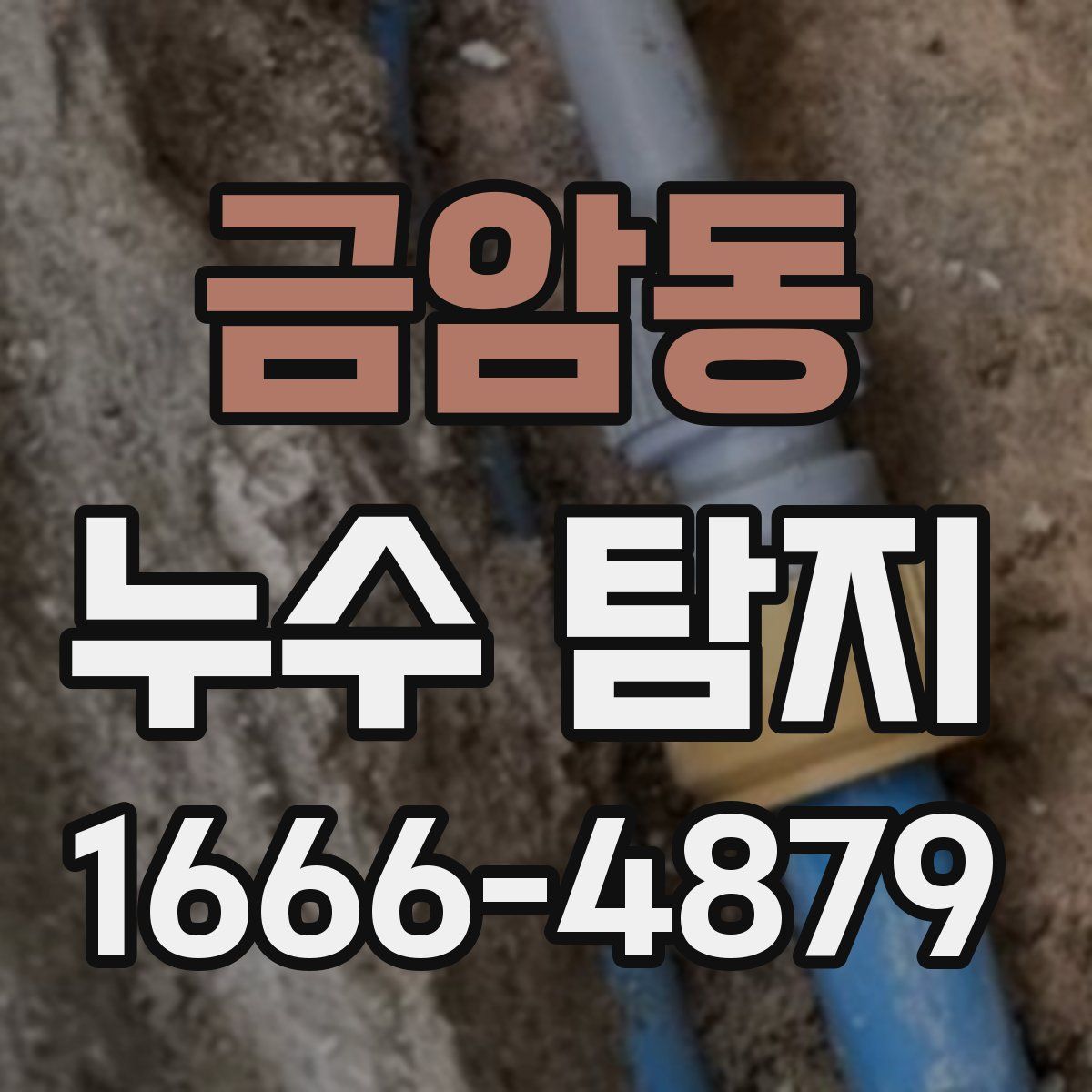 금암동 누수 탐지