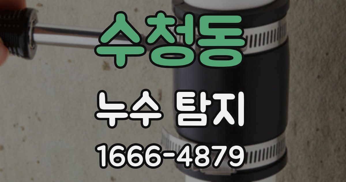 수청동 누수 탐지