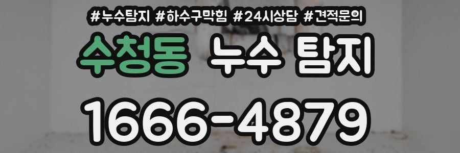 수청동 누수 탐지