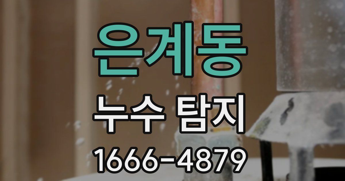 은계동 누수 탐지