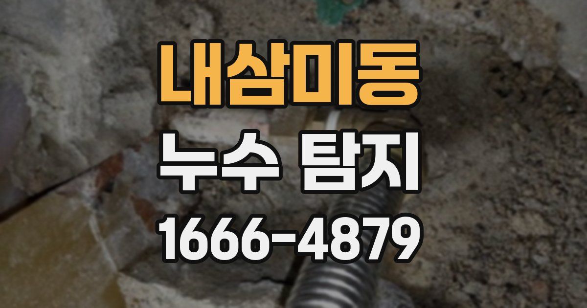 내삼미동 누수 탐지