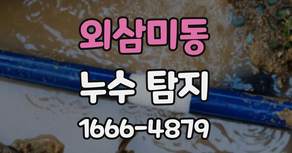 외삼미동 누수 탐지