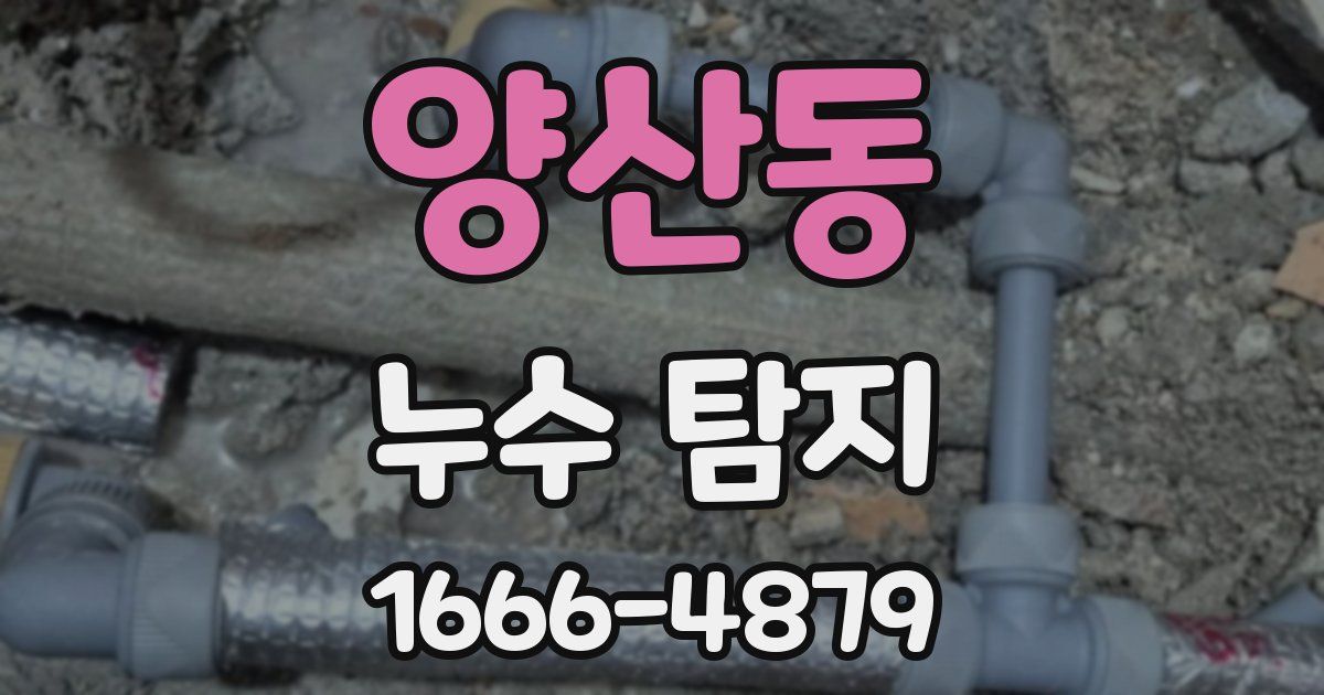 양산동 누수 탐지
