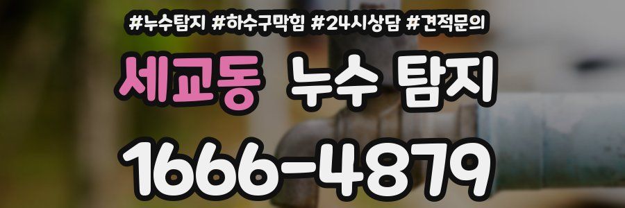 세교동 누수 탐지
