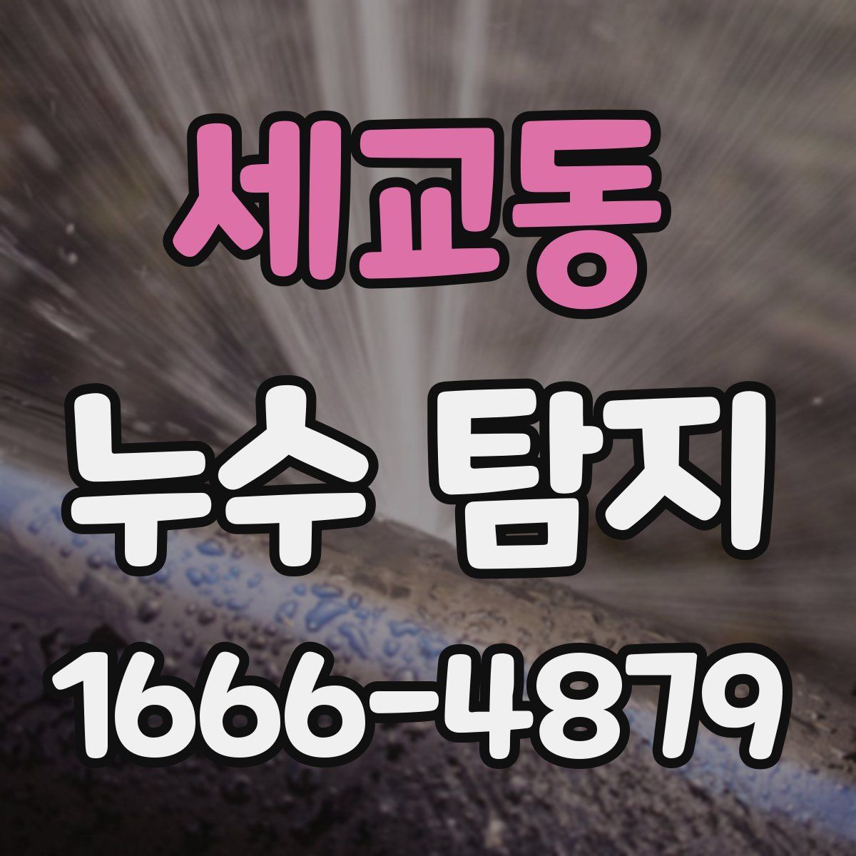 세교동 누수 탐지