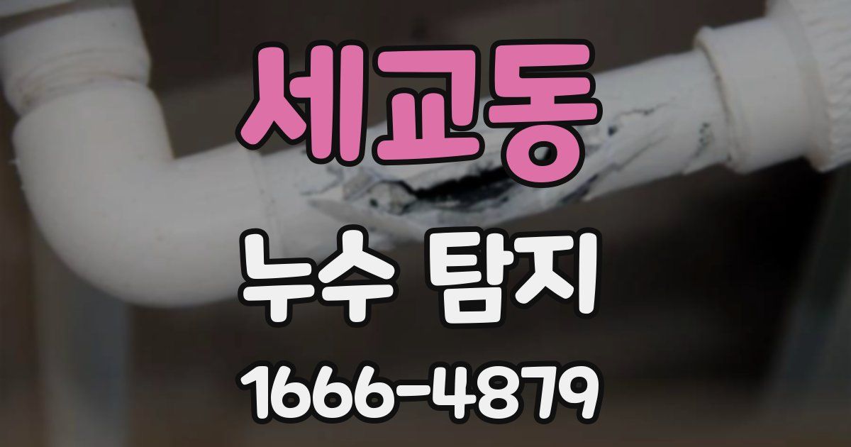세교동 누수 탐지