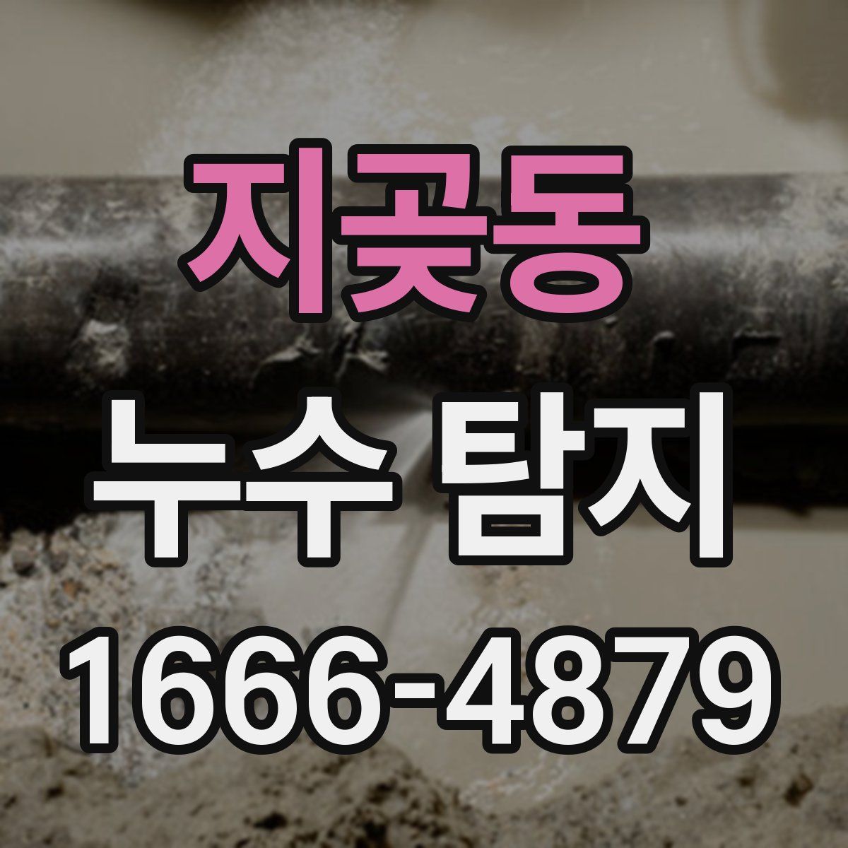 지곶동 누수 탐지