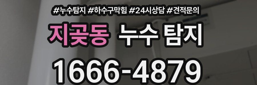 지곶동 누수 탐지
