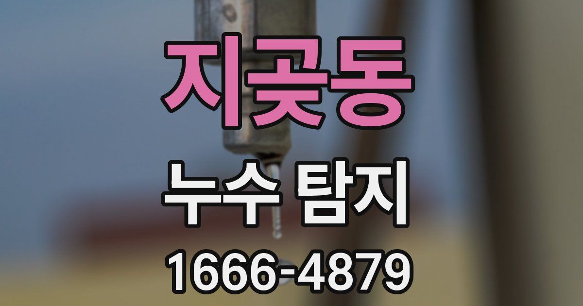 지곶동 누수 탐지