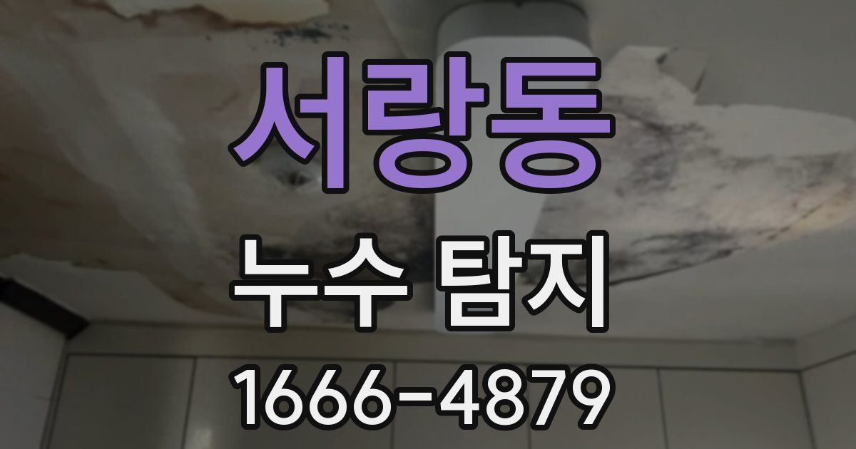 서랑동 누수 탐지
