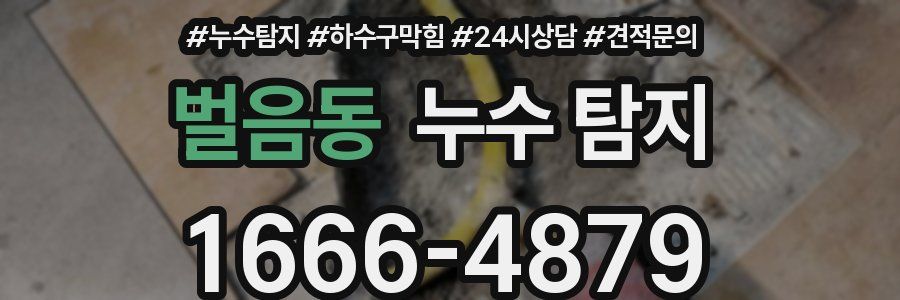 벌음동 누수 탐지