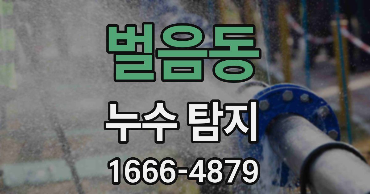 벌음동 누수 탐지