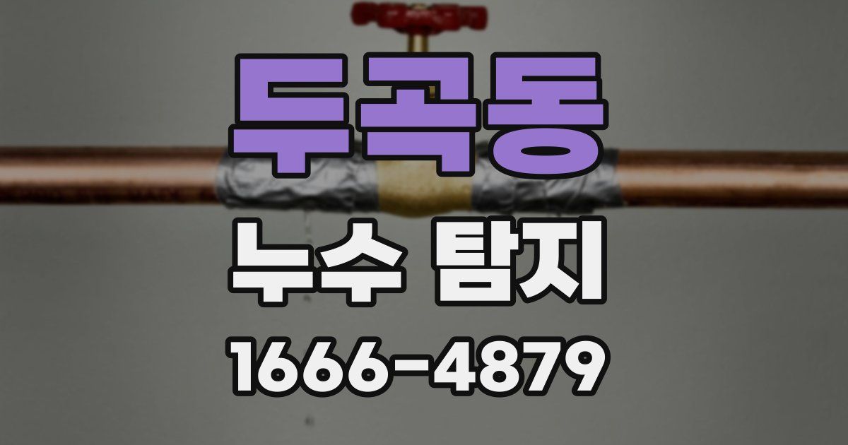 두곡동 누수 탐지