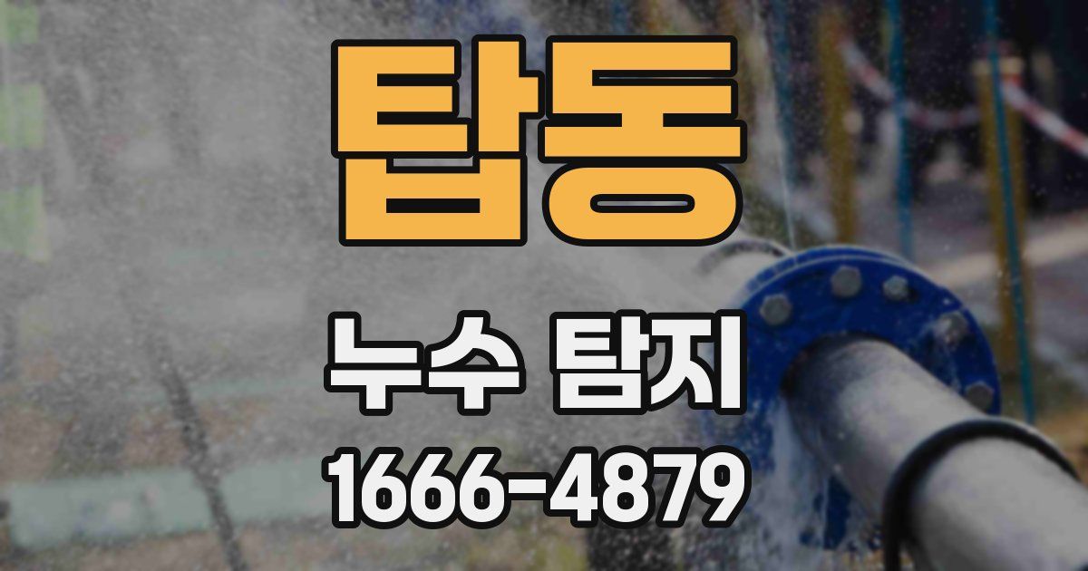 탑동 누수 탐지