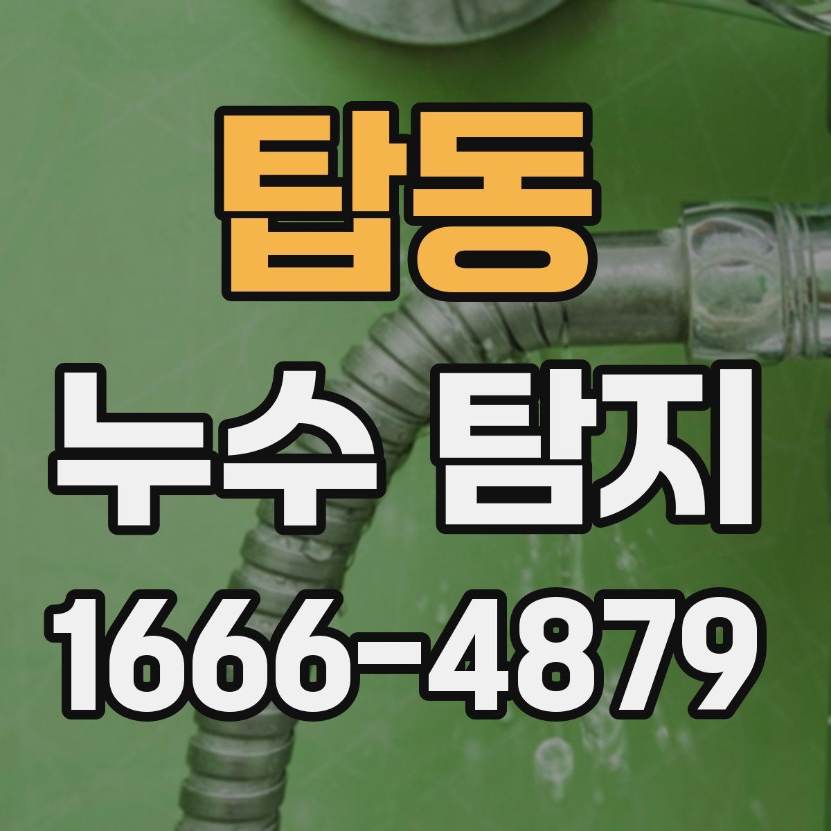 탑동 누수 탐지