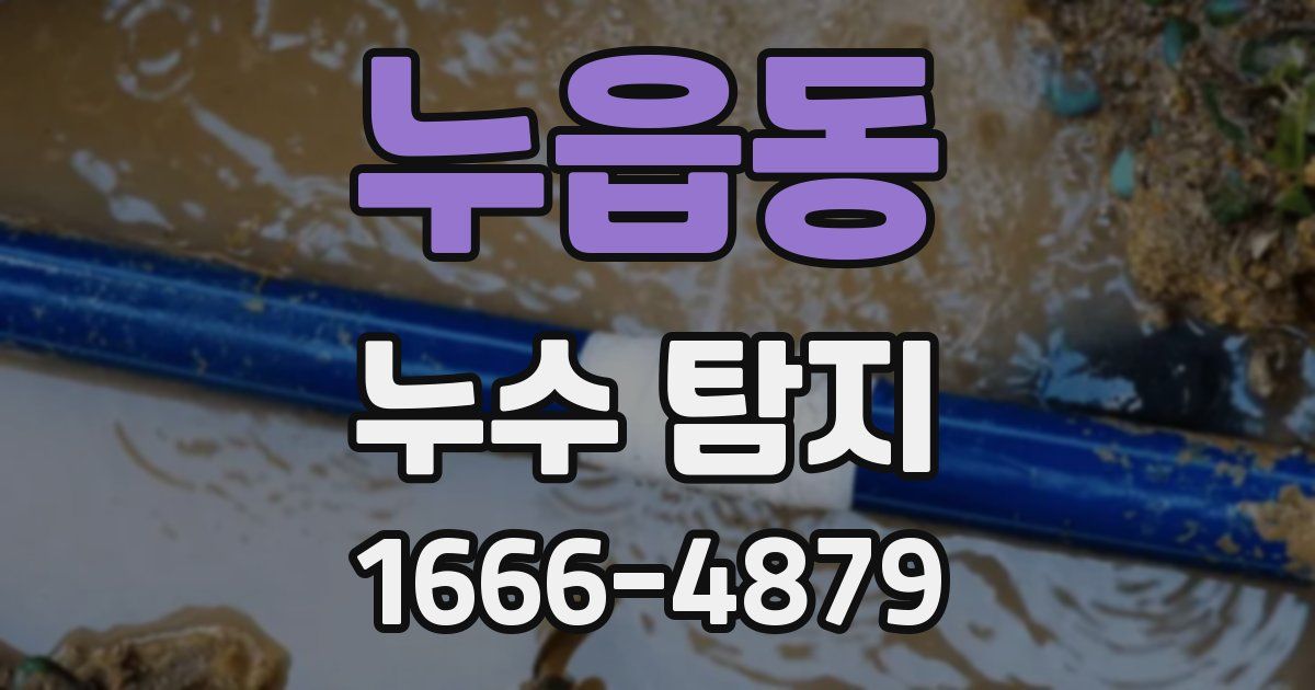 누읍동 누수 탐지