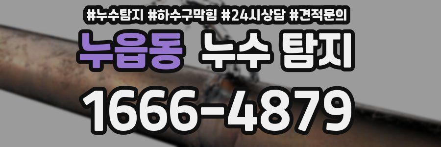 누읍동 누수 탐지