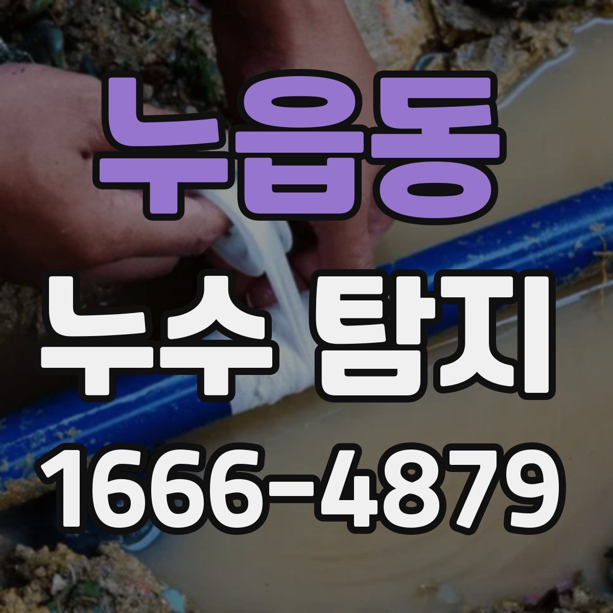 누읍동 누수 탐지