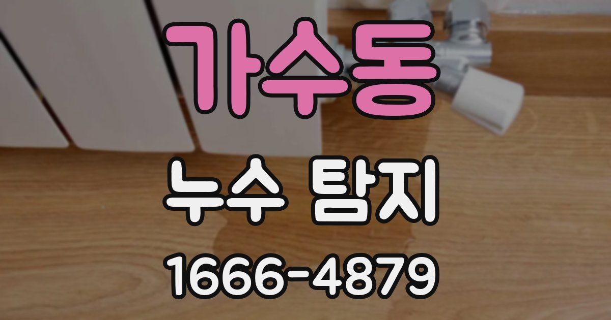 가수동 누수 탐지