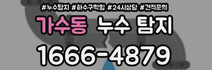 가수동 누수 탐지