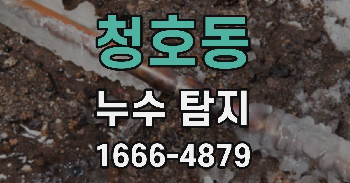 청호동 누수 탐지