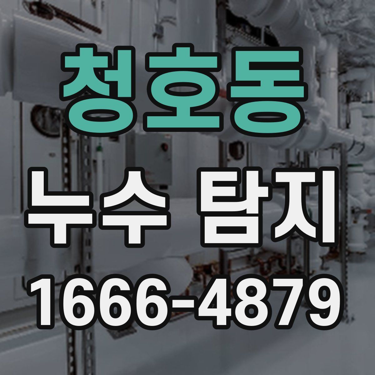 청호동 누수 탐지