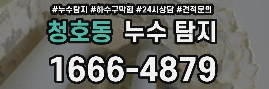 청호동 누수 탐지