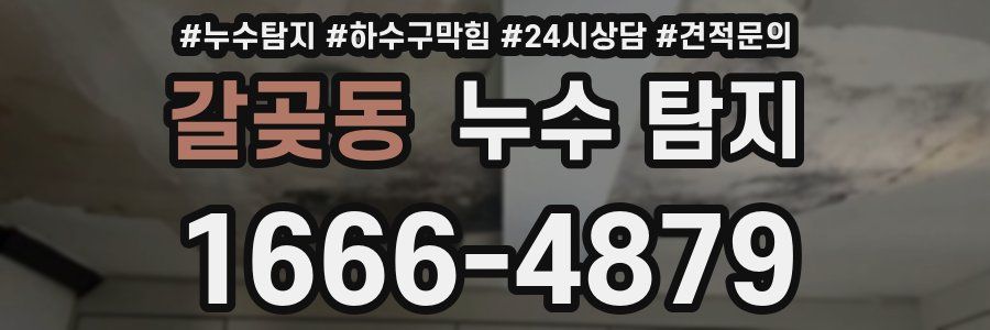갈곶동 누수 탐지