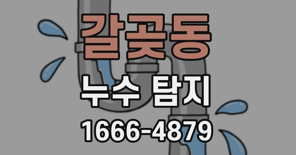 갈곶동 누수 탐지