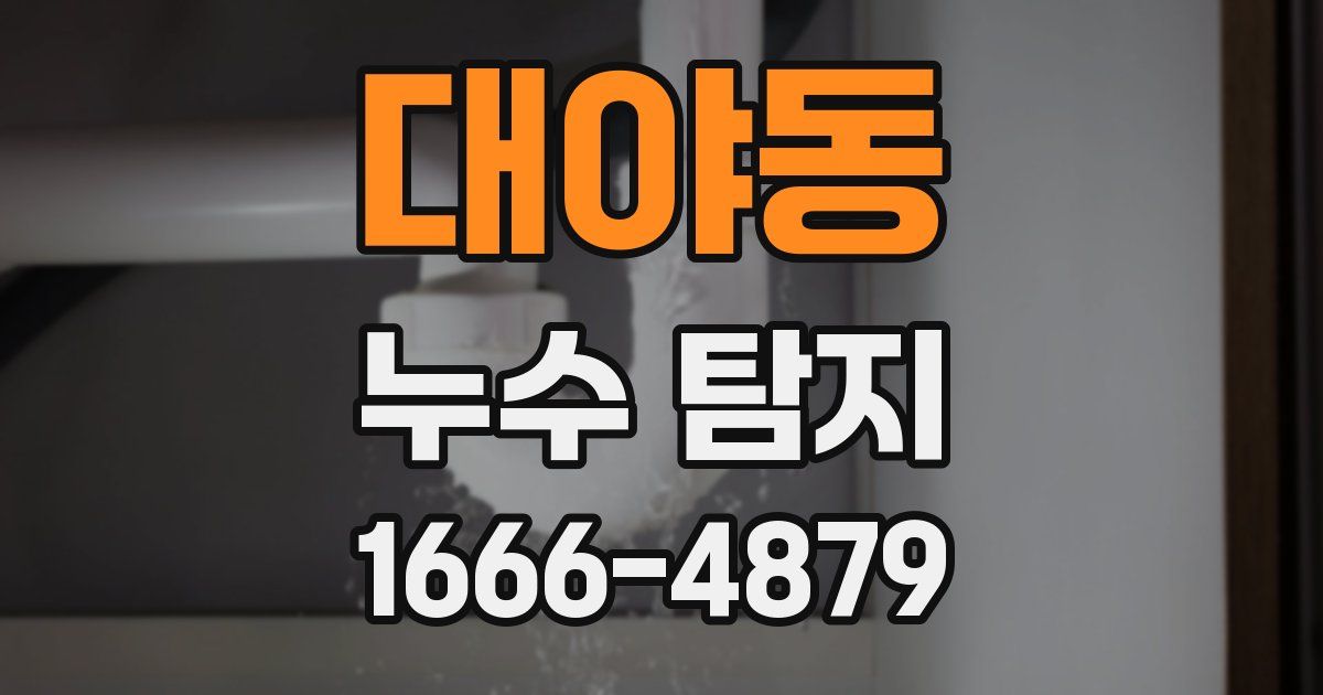 대야동 누수 탐지