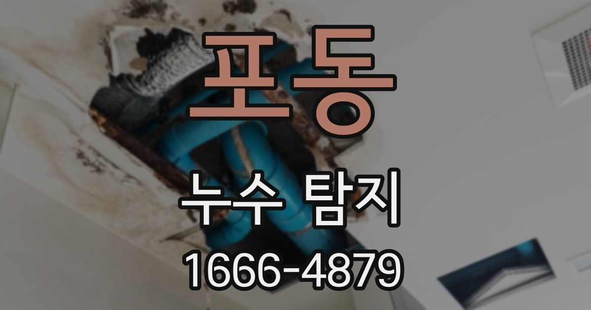 포동 누수 탐지