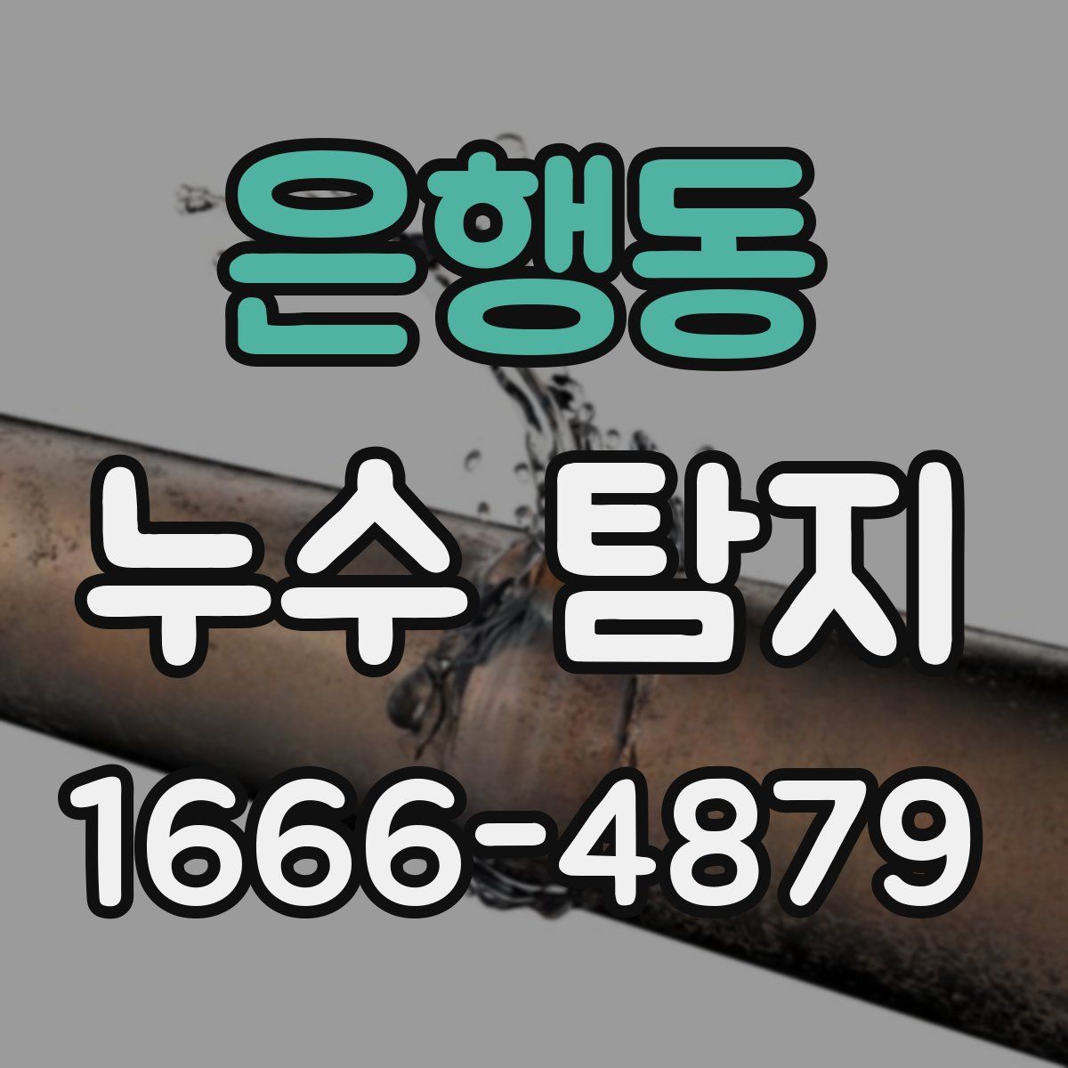 은행동 누수 탐지