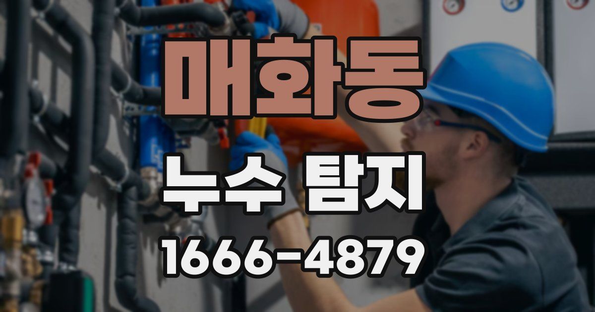 매화동 누수 탐지