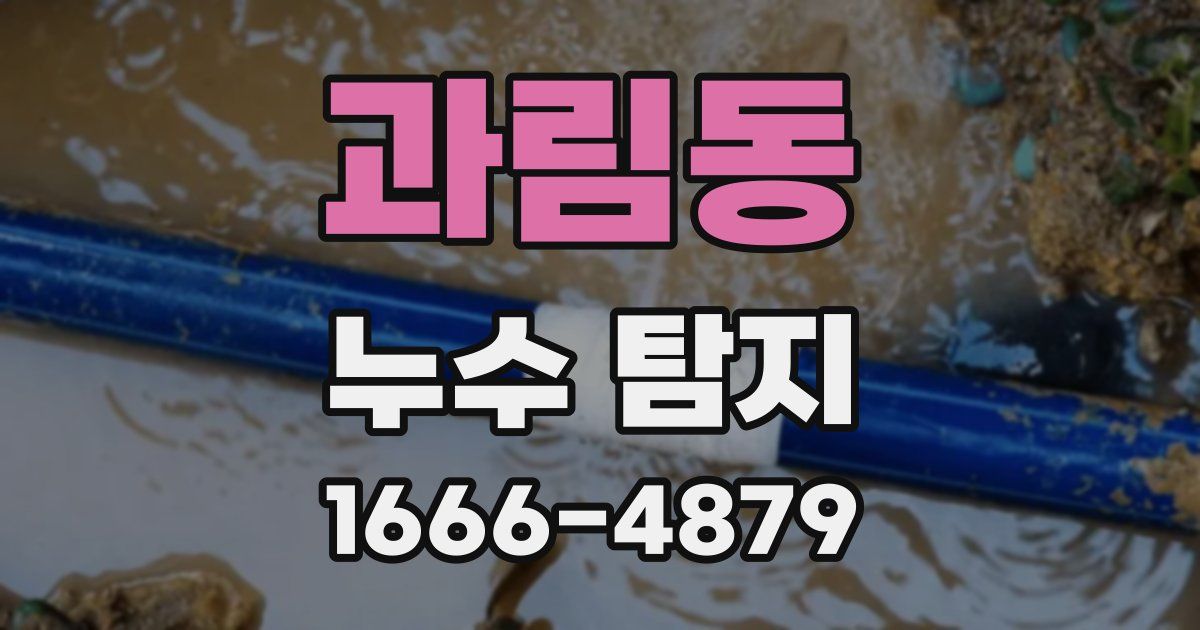 과림동 누수 탐지