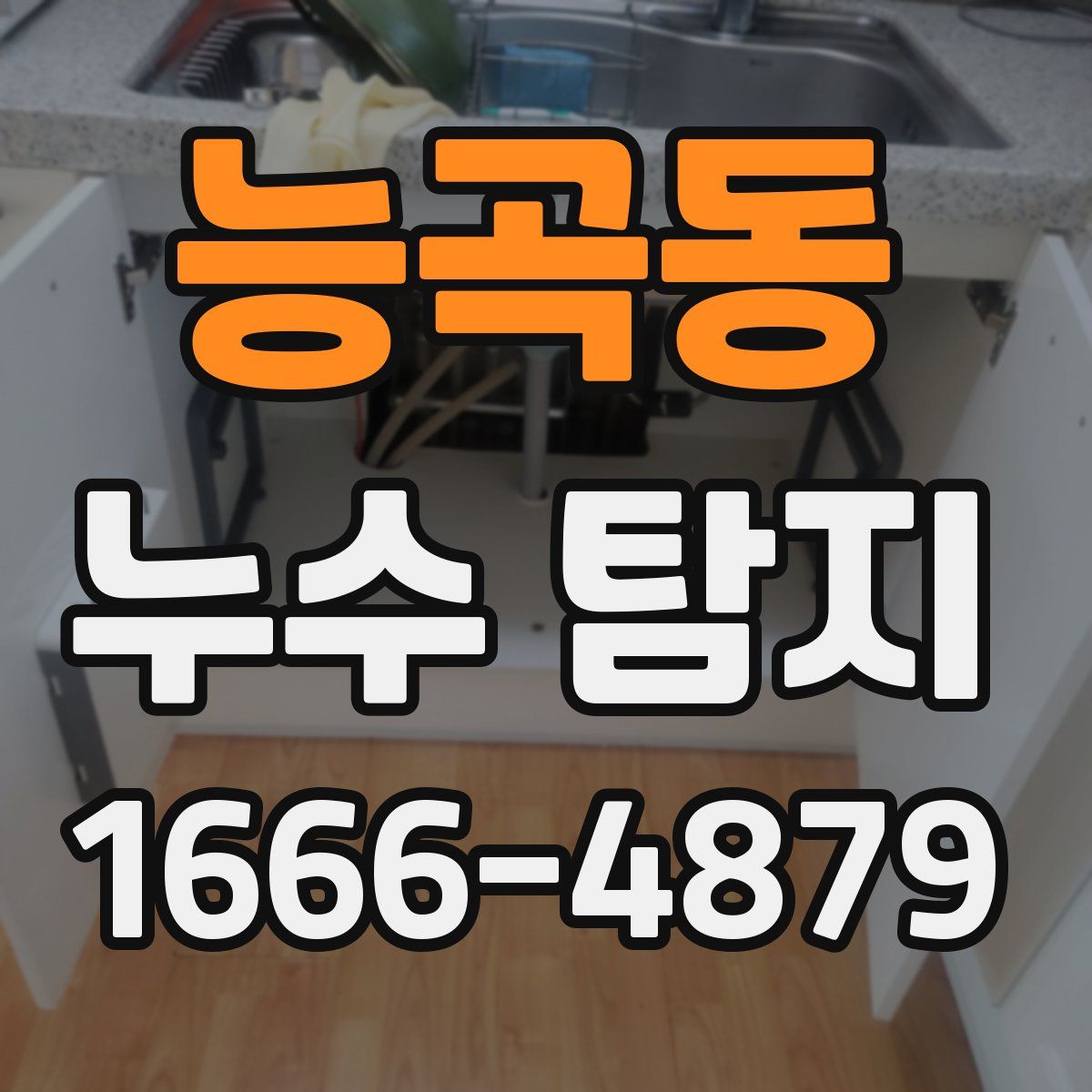 능곡동 누수 탐지