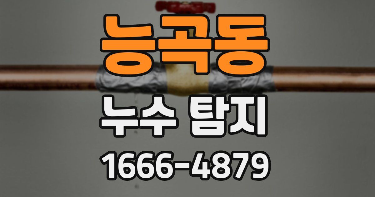 능곡동 누수 탐지