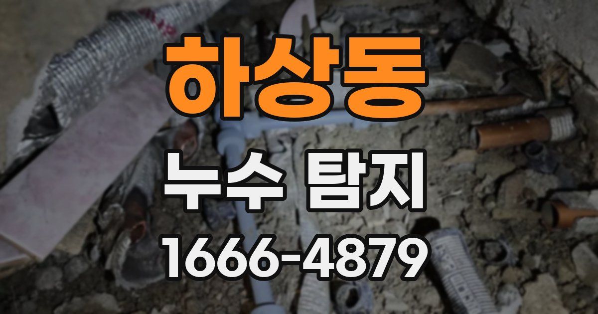 하상동 누수 탐지