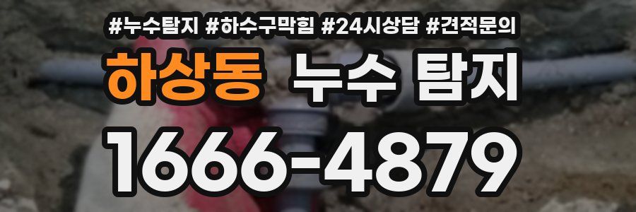 하상동 누수 탐지