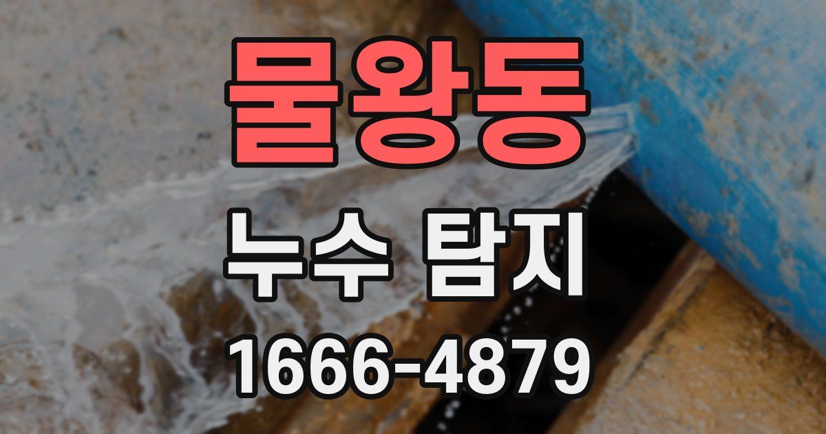 물왕동 누수 탐지