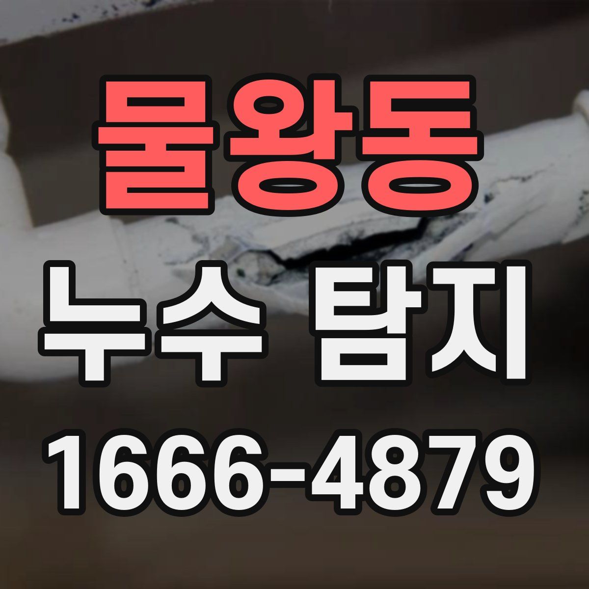 물왕동 누수 탐지