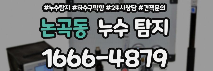 논곡동 누수 탐지