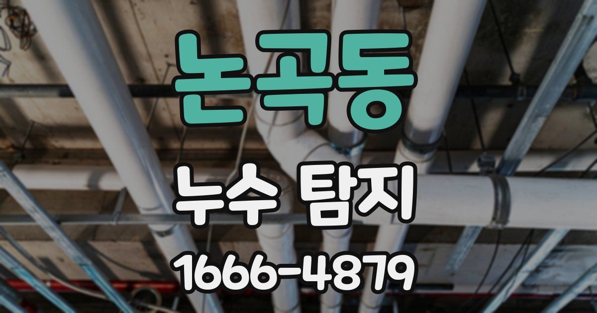 논곡동 누수 탐지