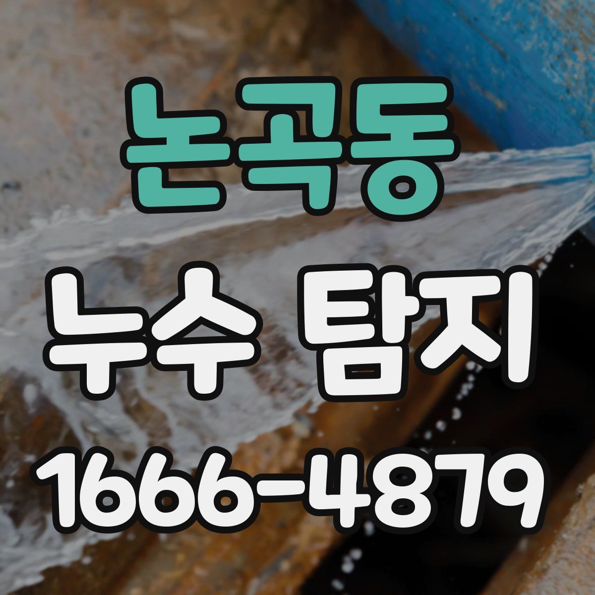 논곡동 누수 탐지